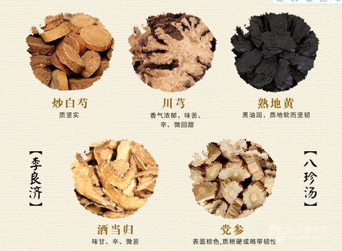 八珍湯提取物 訂制八珍湯提取濃縮液 廠家 訂做批發(fā)價(jià)格 陜西 斯諾特生物 植物提取物