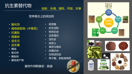 腸&middot;道 | 馬曦:23分鐘詳解替代抗生素促進(jìn)腸道健康的三大武器