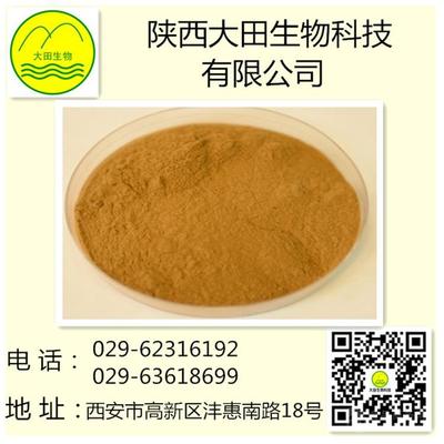 供應(yīng)野菊花提取物 植物提取物