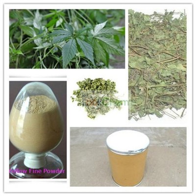 絞股藍提取物 探索絞股藍總皂苷的多樣規(guī)格與應(yīng)用潛力